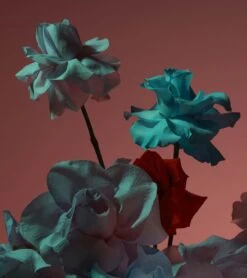 CAMEO MAGNUM CANDLE -Fashion Clothing Store CAMEOEDITORIAL 01 01 01 1080x b4500708 8d88 4b70 9329 a3a5288f2d5c