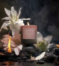 COPAL FANTOME CANDLE 9 COPAL FANTOME CANDLE -Fashion Clothing Store HINOKI 04 HOVER 3010x.progressive 01 2260x.progressive d365ccae 628d 493b ab4c 85736fce77b9