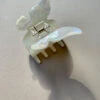 BUTTERFLY HAIR CLAW -Fashion Clothing Store butterflycliphairclawpipeandrowstaples