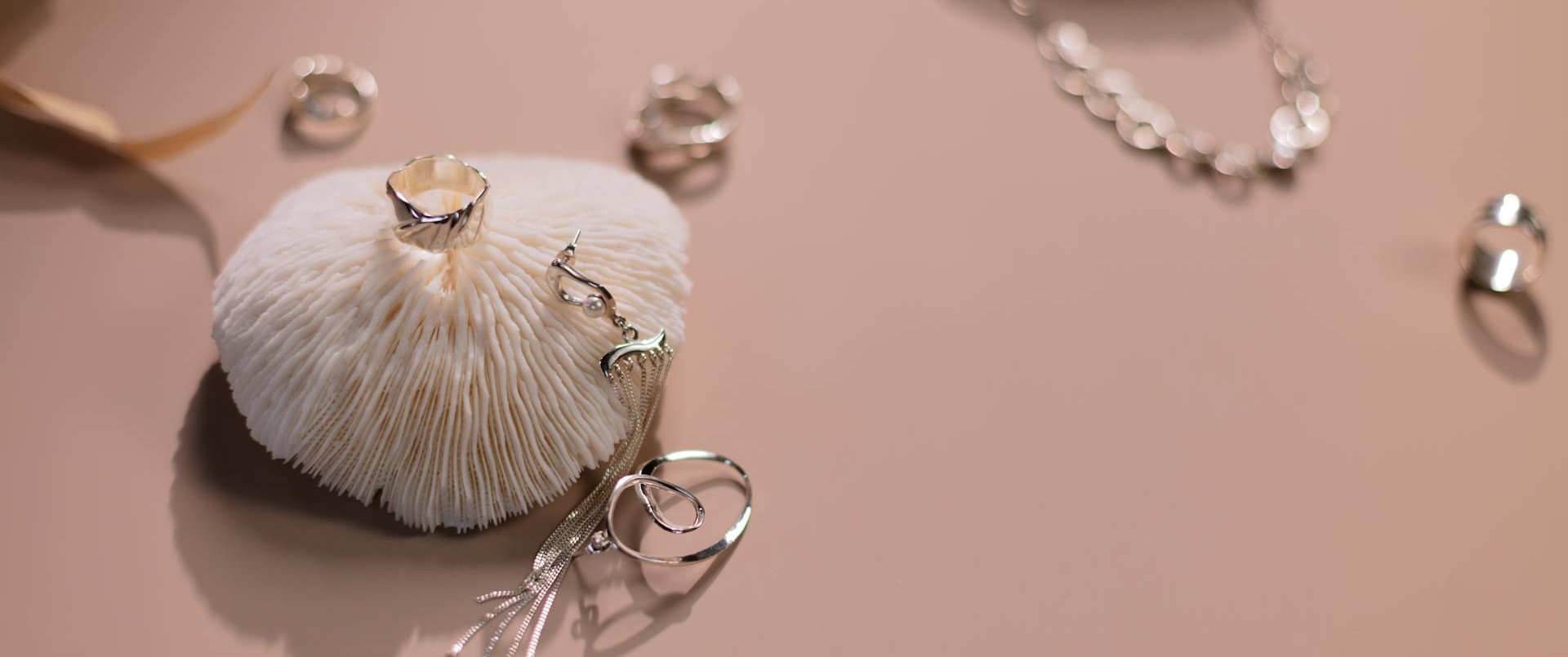 Fashion Clothing Store -Fashion Clothing Store pexels cottonbro 9430429